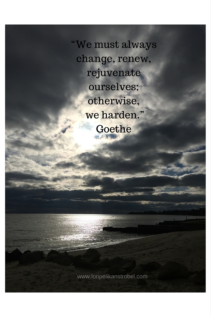 “We must always change, renew, rejuvenate ourselves; otherwise, we harden.” Goethe