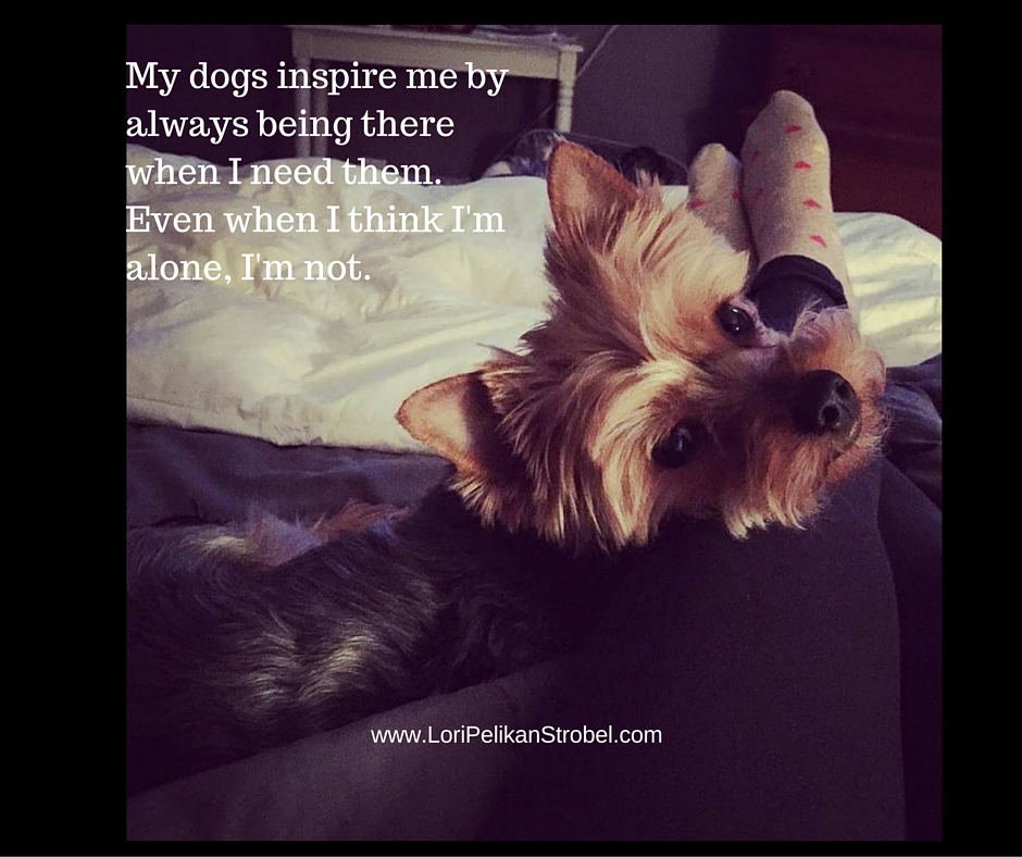 My Dogs Inspire Me By...