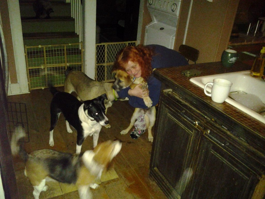 Cari and her dogs