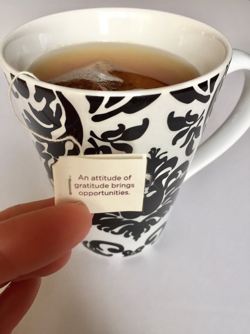 Tea Wisdom: An attitude of gratitude brings opportunities.